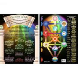 Information Chart English Tree of Life (Each)