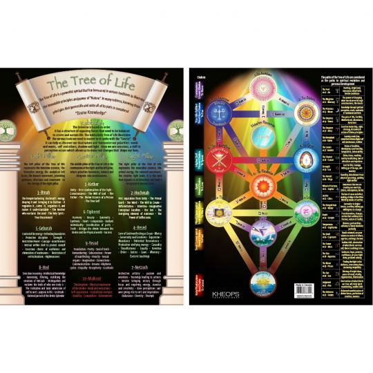Information Chart English Tree of Life (Each)