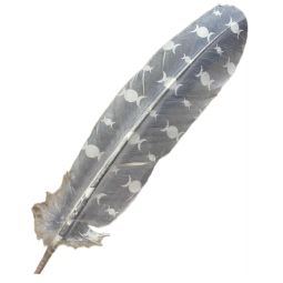 Triple Moons Feather (Each)