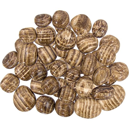 Tumbled Stones Aragonite (1lb)