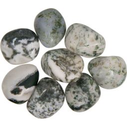 Tumbled Stones Tree Agate (1lb)