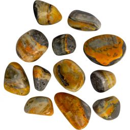 Tumbled Stones Bumble Bee Jasper (1lb)