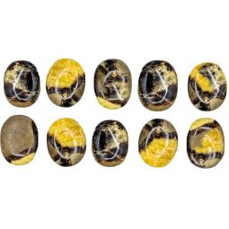 Worry Stones Septarian/ Dragon Stone (Pack of 12)