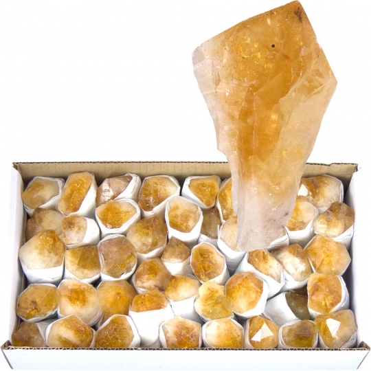 Crystal Points by the Flat - Citrine (4.5 lbs ~ 5 lbs)