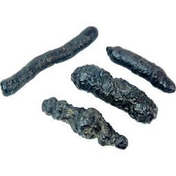 Egyptian Prophecy Stone - Rod 0.75in -3in (1/2lb)