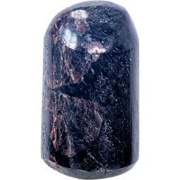 Freeform Standing Polished - Black Tourmaline w/ Garnet (Each)