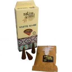 Native Soul Jumbo Backflow Cones in Display Box of 8 Cones - White Sage (Pack of 12)