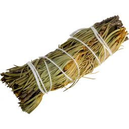 Smudge Stick Mini Pine (Pack of 12)