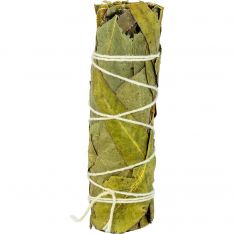 Smudge Stick Mini Eucalyptus (Pack of 12)