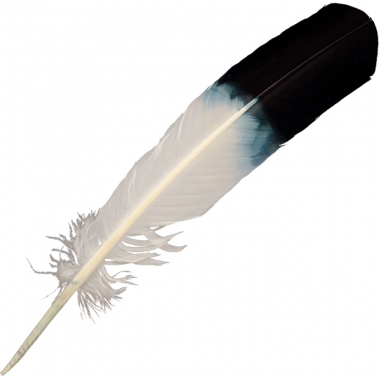 Eagle Feather Imitation (Each)