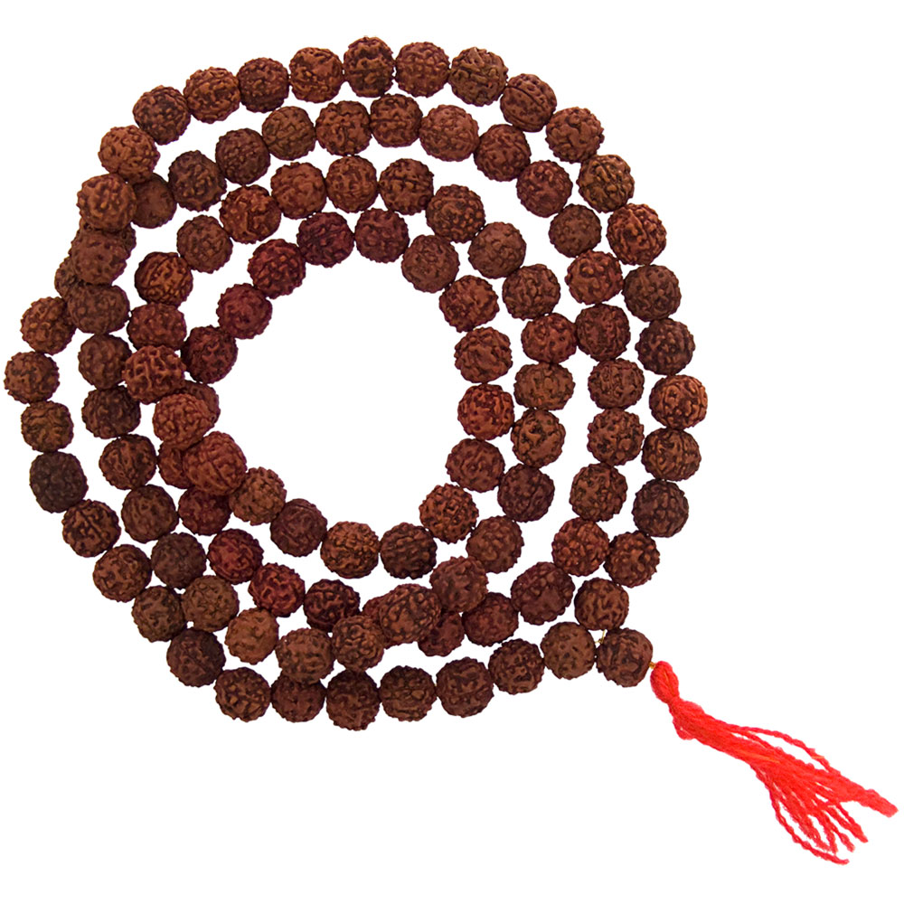 Mala BEADS Rudraksha Seeds (Each)