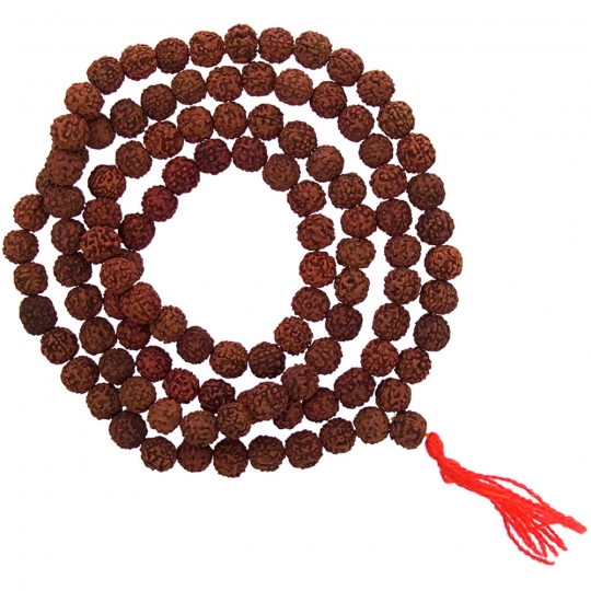 Mala Beads Rudraksha Seeds (Each)