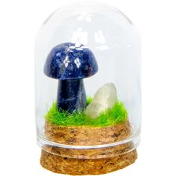 Gemstone Mini Mushroom Terrarium - Blue Jasper (Each)