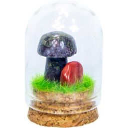 Gemstone Mini Mushroom Terrarium - Dragon Blood Jasper (Each)