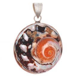 Sea Shell