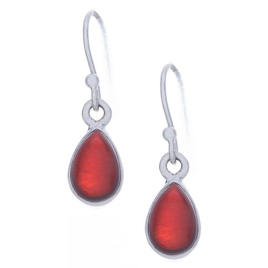 Garnet Simple Teardrop Earrings